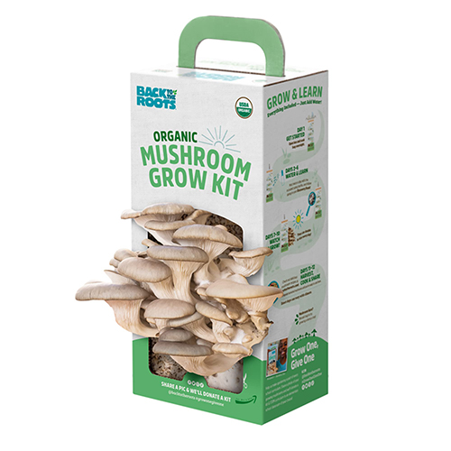 http://atiyasfreshfarm.com/public/storage/photos/1/New Products 2/Mushroom Box.jpg